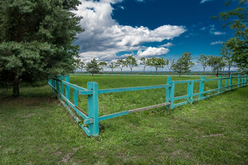 Garden fence with trees against the sky