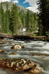 Rocky rapids of the Multa River in the Katunsky Reserve of Altai