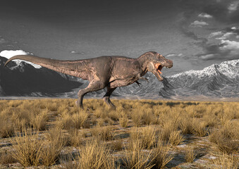 tyrannosaurus rex is walking around in plains and mountains