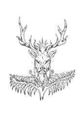 Obraz premium Stag Emblem