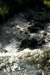 Rocky rapids of the Multa River in the Katunsky Reserve of Altai