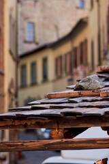 Obraz premium detalhe de telhado de madeira