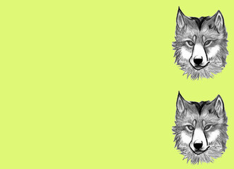 two vc hand drawn heads on right side of green background, next to copy space, creative art minimal design
