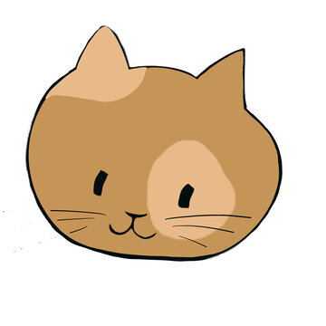Calico cat