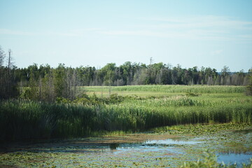Presquile Provincial Park in Ontario, Canada. 