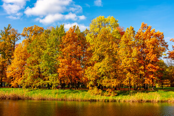 Catherine park in autumn foliage, Pushkin (Tsarskoe Selo), Saint Petersburg, Russia
