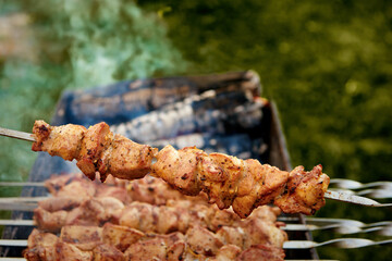 Pieces of delicious barbecued meat on skewer cooking on hot coals. Roast pork meat cooked on grill. Barbecue party on the nature. Close up top view.