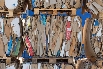 Fototapeta na wymiar Pressed cardboard warehouse - boxes and packaging from goods, garbage is stored on wooden pallets