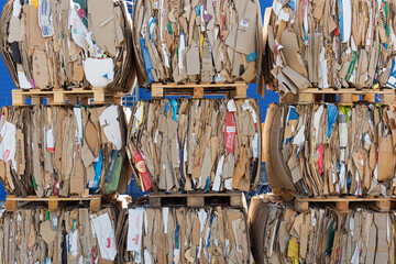 Pressed cardboard warehouse - boxes and packaging from goods, garbage is stored on wooden pallets