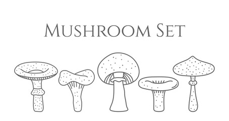 Set of hand drawn mushrooms in hand drawn style. Vector stock illustration. Toadstools, chanterelles, mushrooms. White background. One line.