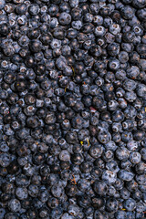 blueberries