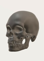 Obraz premium human skull isolated on white