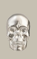 human skull and bones