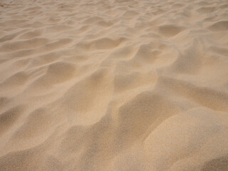 Fototapeta na wymiar Natural texture background of fine clear beach sand and dune