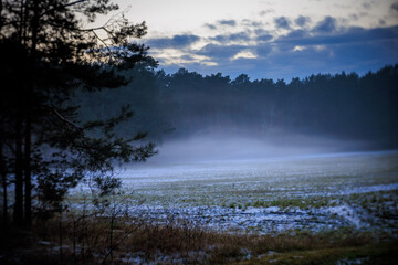 Schneebedecktes Feld am Waldrand im Nebel am Abend