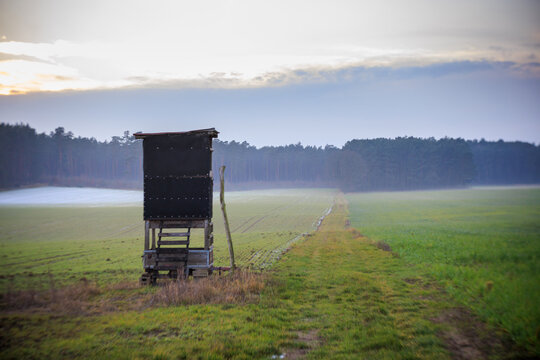 Hochstand am Waldrand im Nebel am Abend