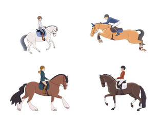 Different directions of equestrian sports, show jumping, dressage, pony riding, hobbies