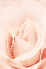 Romantic flower watercolor painting close up of orange rose