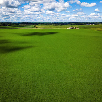 Rural Wisconsin Agricultural Field in Summer