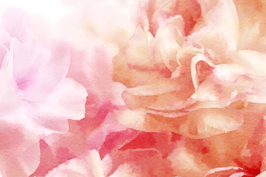 Romantic flower watercolor painting close up of pink and orange petal flowers.
