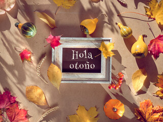 Autumn frame, caption greeting text Hola otono means Hello Autumn in Spanish language. Natural Fall leaves, wheat ears and pampas grass. Natural terracotta, beige, yellow and red color shades. Flat © tilialucida
