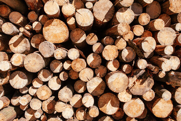 Lumber industry - pile of chopped wood tree, wooden background