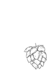 Craft beer line art png
