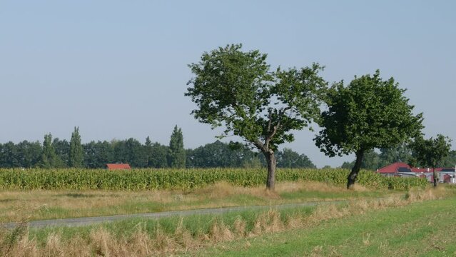 Panorama drogi betonowej w krajobrazie wiejskim w porze letniej, pola i drzewa w oddali na tle błękitnego nieba z lekko pochmurną pogodą