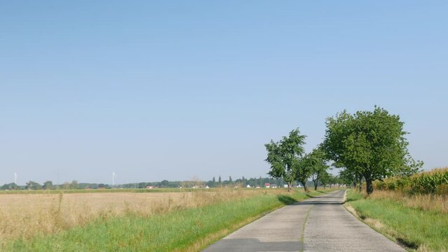 droga w krajobrazie wiejskim w porze letniej, pola i drzewa w oddali na tle błękitnego nieba z bezchmurną pogodą