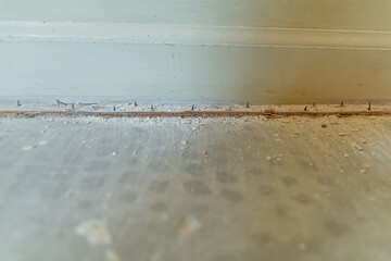 Exposed carpet tacks inside a house with bare floors that is being renovated
