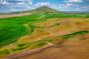 Steptoe Butte on the Rural Palouse Countryside during a Blue Sky Spring Day