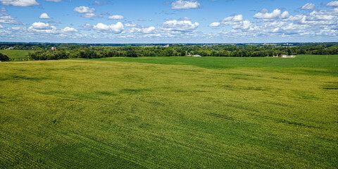 Rural Wisconsin Agricultural Field in Summer