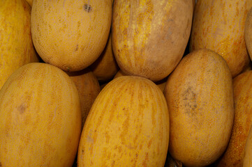 Harvest of ripe yellow melons at the market. Abstract background of fresh fruits