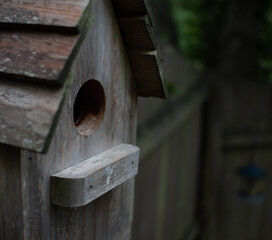 Birdhouse 