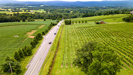 Rows of wine grapes plants on vineyards of Virginia in the suburbs of Leesburg. Wine farm and agricultural machinery. Drone view.
