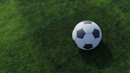 soccer ball on green grass