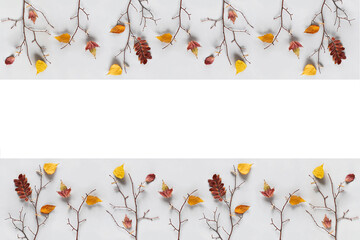 Creative autumn banner. Branches of trees with colorful autumn leaves on clothespins on gray background. Top view, Flat lay