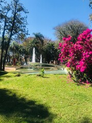 Obraz premium fountain in the park