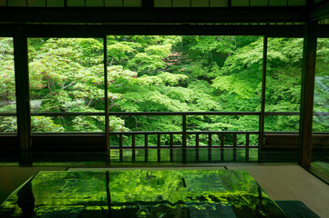 京都 瑠璃光院の美しい新緑と緑を反射したテーブル
