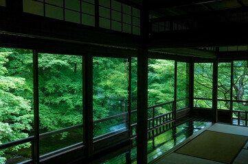 京都 瑠璃光院のもみじの新緑を反射した美しい廊下