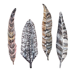 Set watercolor brown and black bird feather with stripe and ornate isolated on white background. Hand-drawn plume. Wildlife tropic art. Clipart for sticker wallpaper wrapping. Celebration wedding