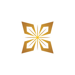 ornament or golden star symbol