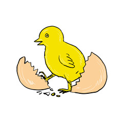 Chick Hatching Inside Egg Drawing