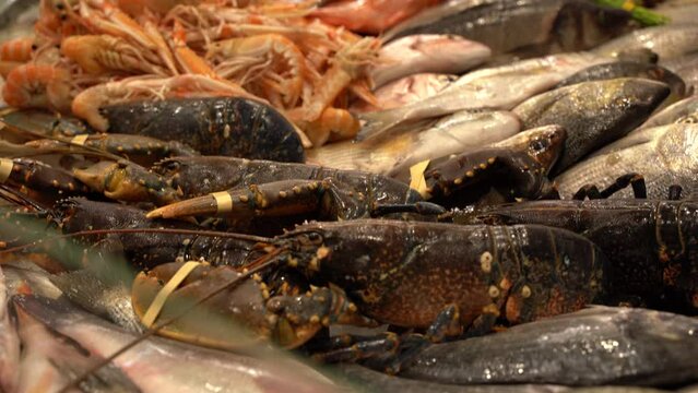 A fresh seafood in the market in Croatia