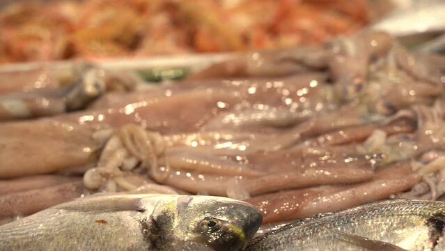 fresh seafood at the food market in Croatia, ready to be sell