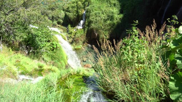 Wild nature in Zadar, Croatia