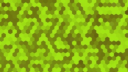 Fototapeta na wymiar Futuristic and modern green hex pixel background. Hex pixel pattern background. Suitable for presentation, template, poster, backdrop, book cover, flyer, social media, backdrop, etc.