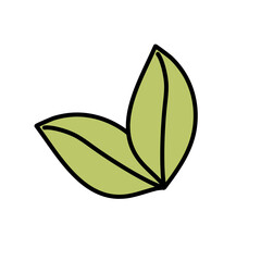 Two leaves in the style of a doodle on a white background