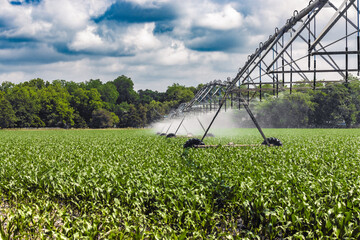 irrigation system in the corn field