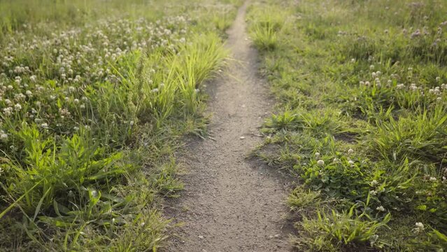Coming forward from a path in the spring land